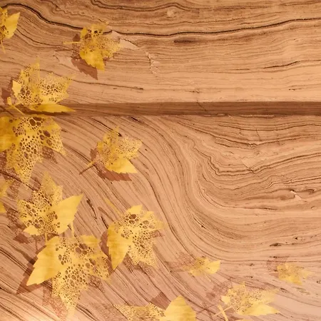 Bellevue - & بيت ضيافة