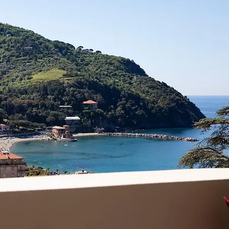 Bellevue - & Levanto