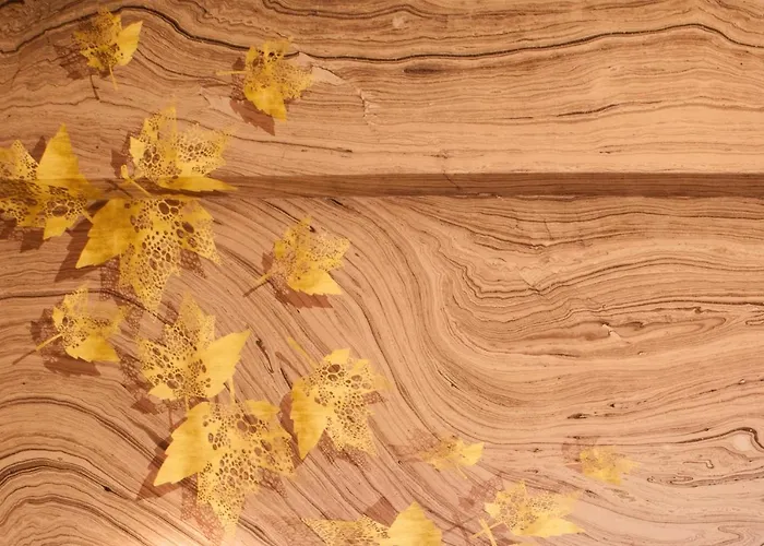 Bellevue - & 게스트하우스