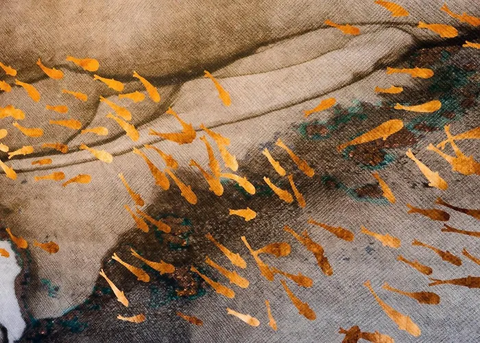 게스트하우스 Bellevue - & 4*