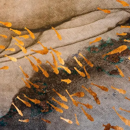 Casa de hóspedes Bellevue - & 4*